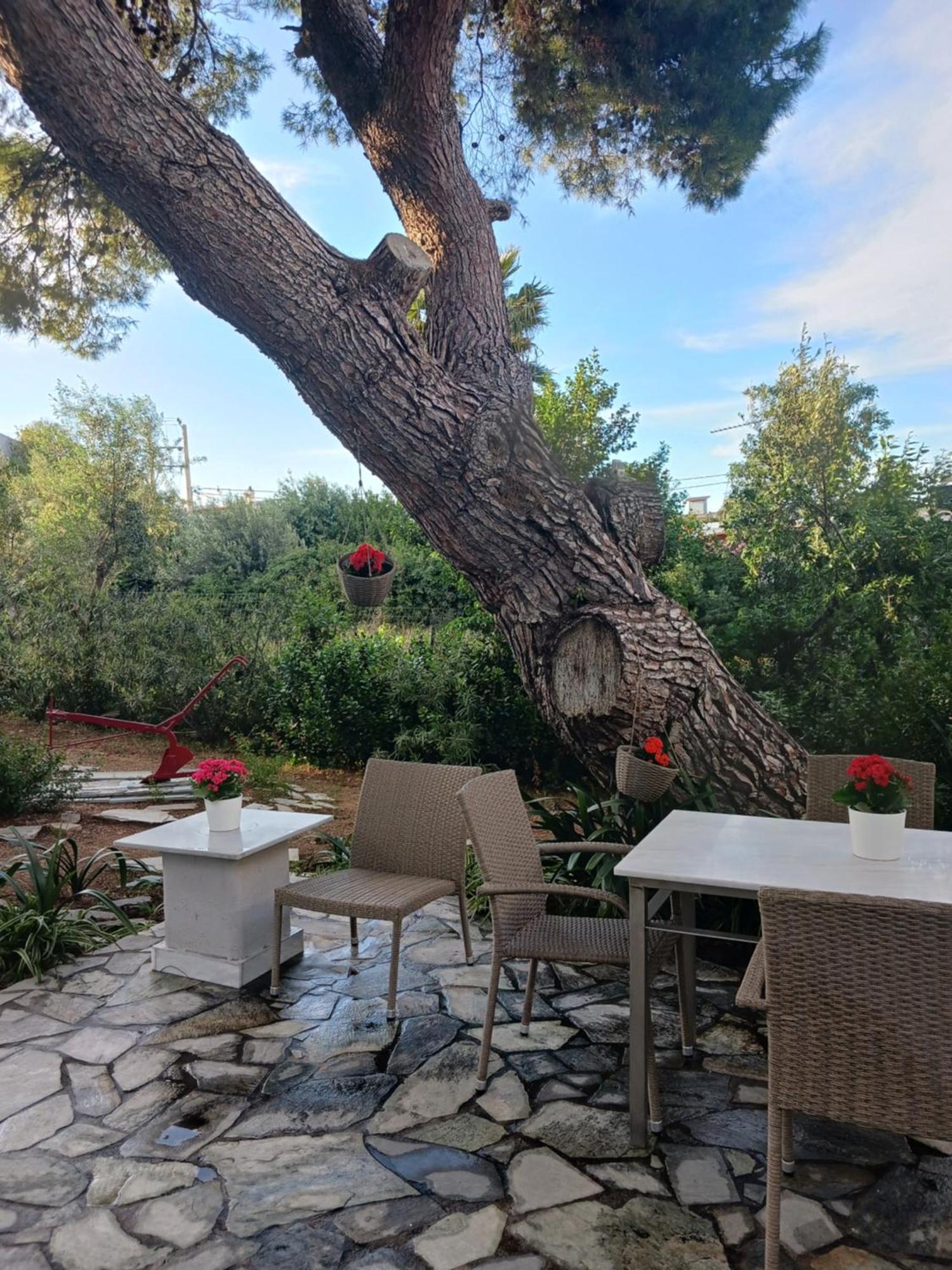 Theros & Trygos Boutique Houses - Ath Airport أرتيميدا المظهر الخارجي الصورة